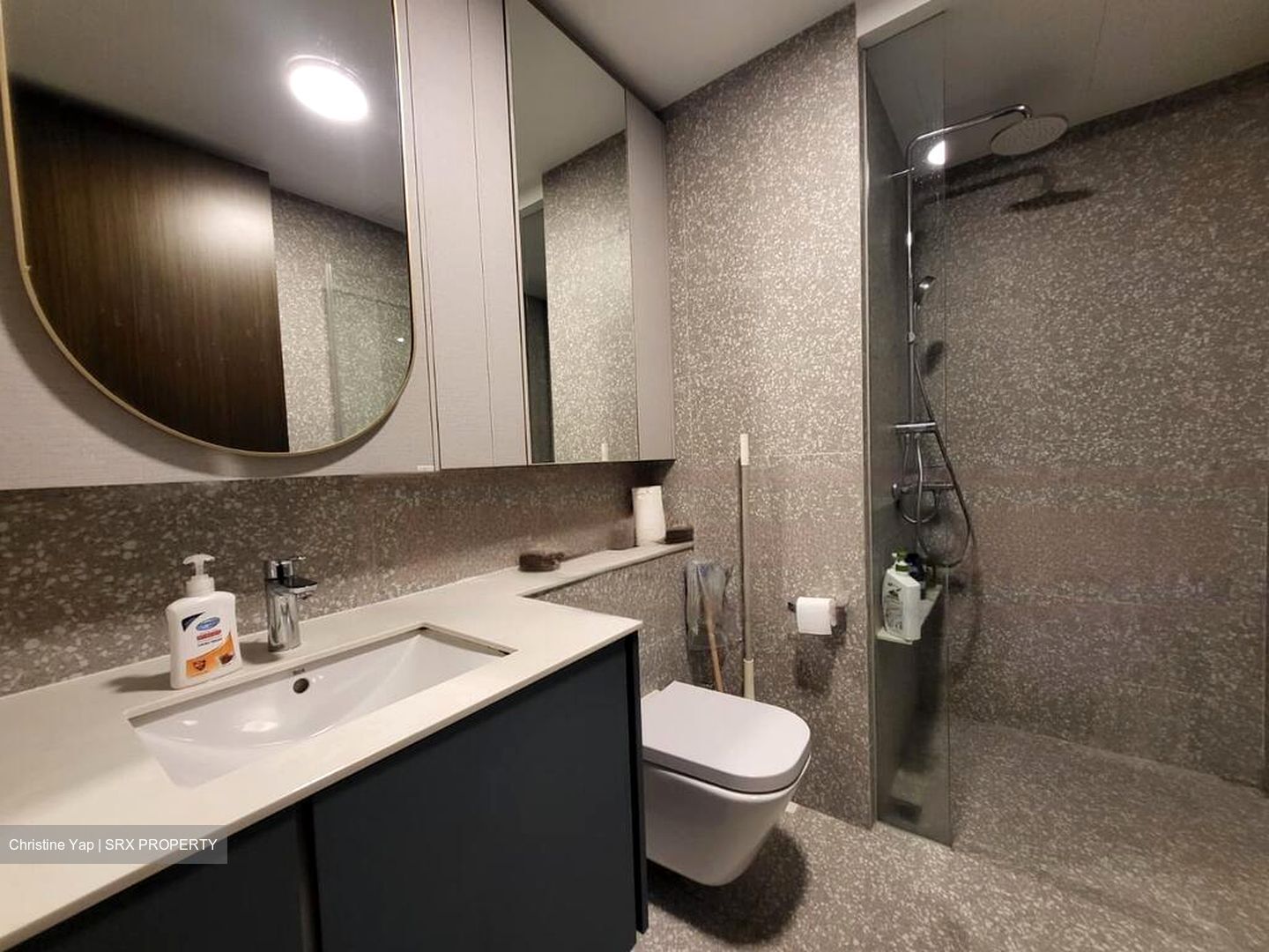 Clavon (D5), Apartment #481781151